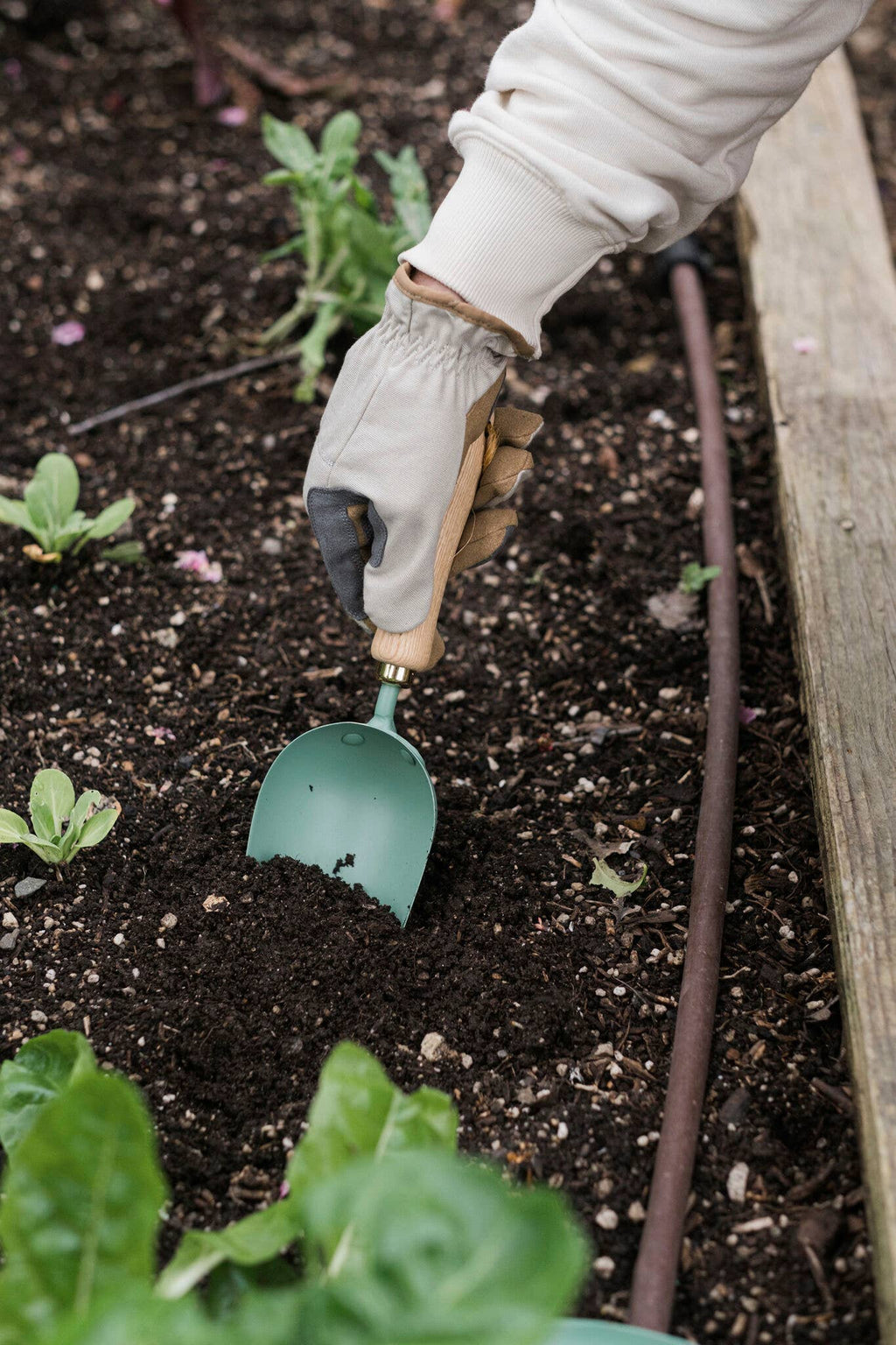 Classic Hand-Forged Soil Trowel | Heritage Garden Scoop